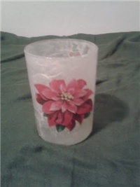 c583d7cd-casa - bozicna zvijezda.jpg